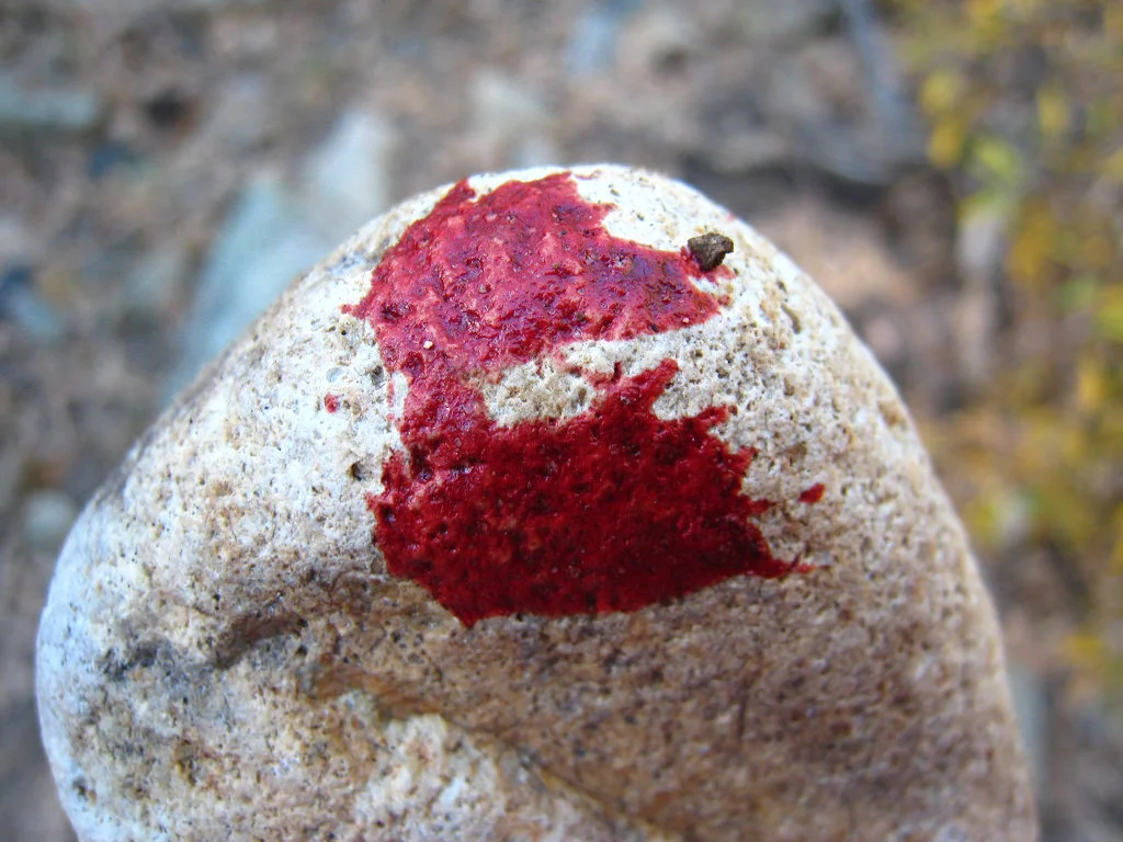 bloody rock 2.jpg