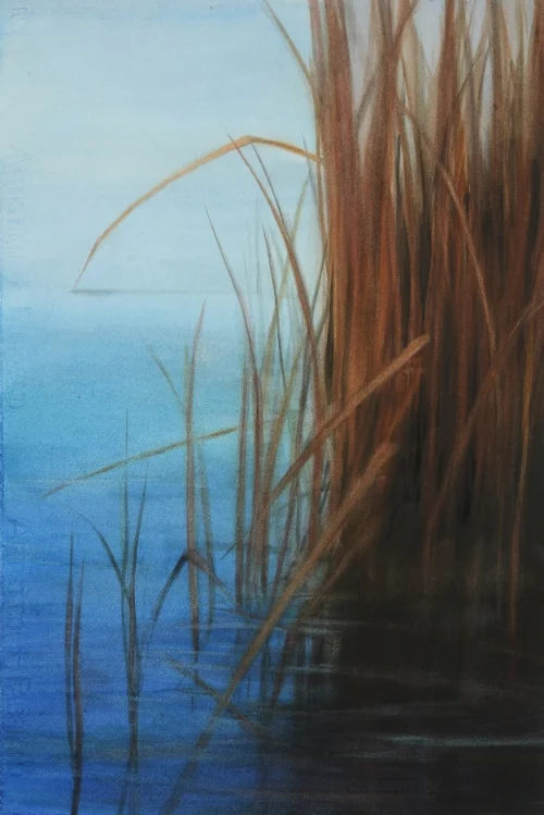 Novato Marsh