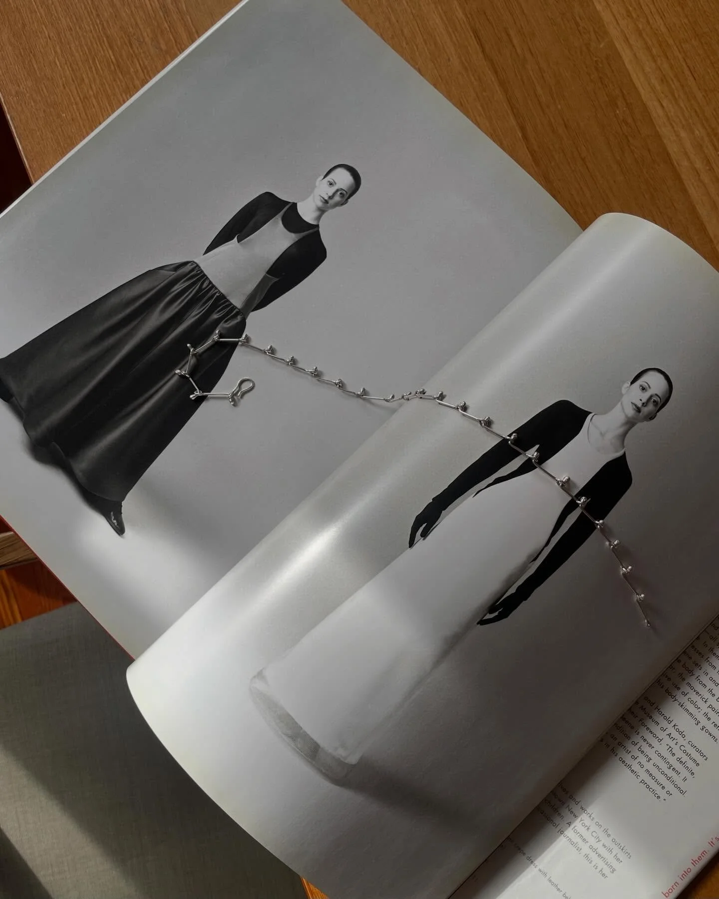 Ball and socket necklace- made to order 
[laying on my Geoffrey Beene bible ✨]