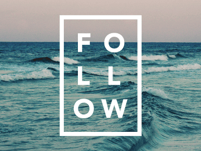 follow.gif
