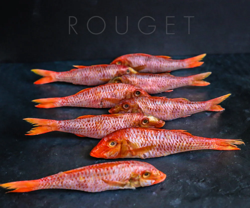 E61A4276e+ROUGET.jpg