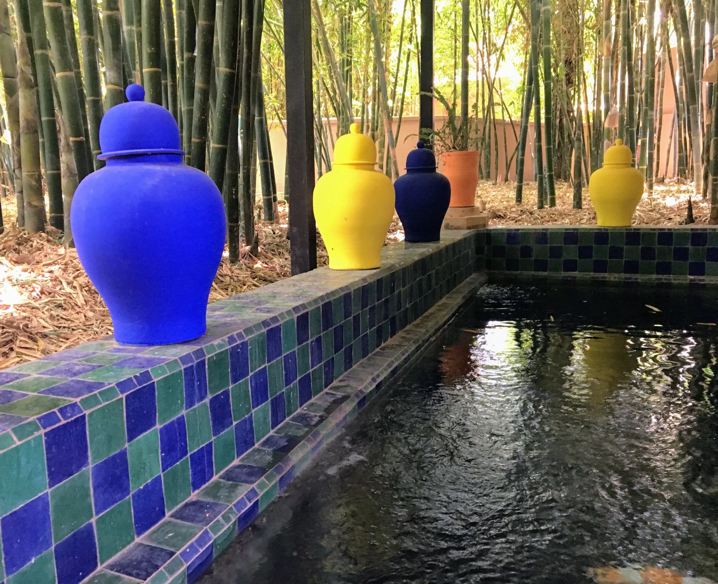 Jardin Majorelle, Marrakech, Morrocco.
