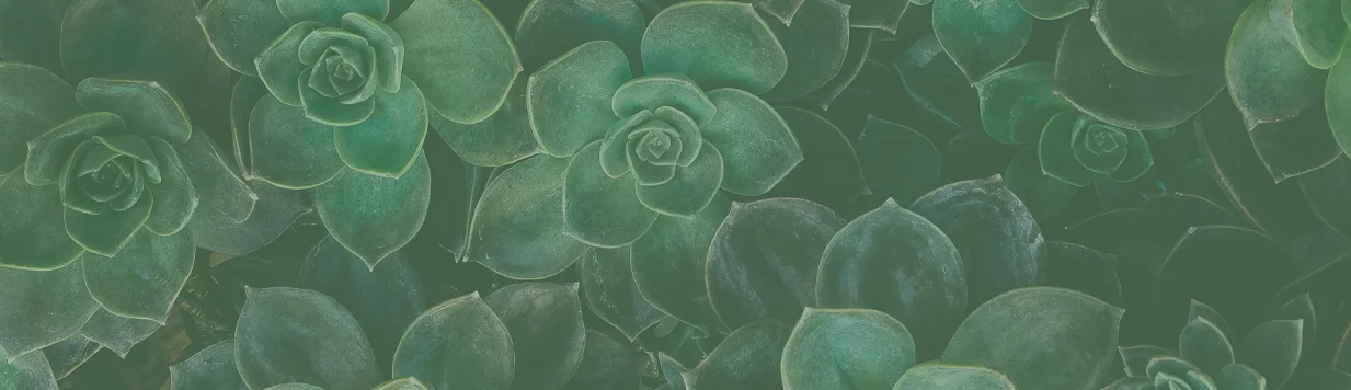 green.jpg