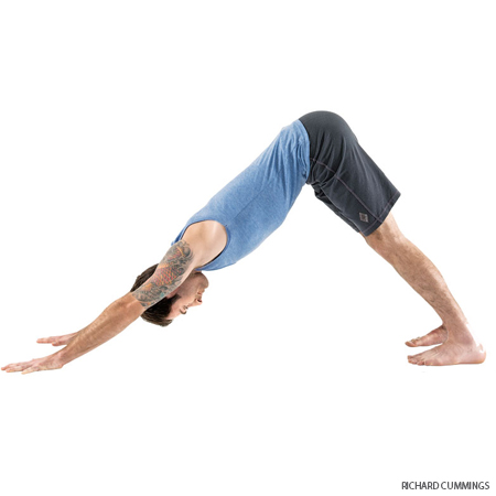Image Source: Yoga Journal