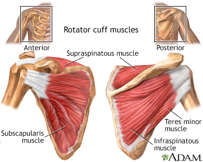 Image Source: medlineplus.gov - NIH