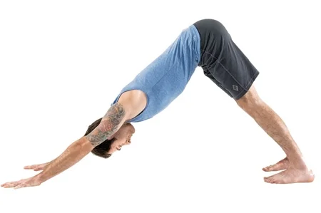 Image source: Yoga Journal