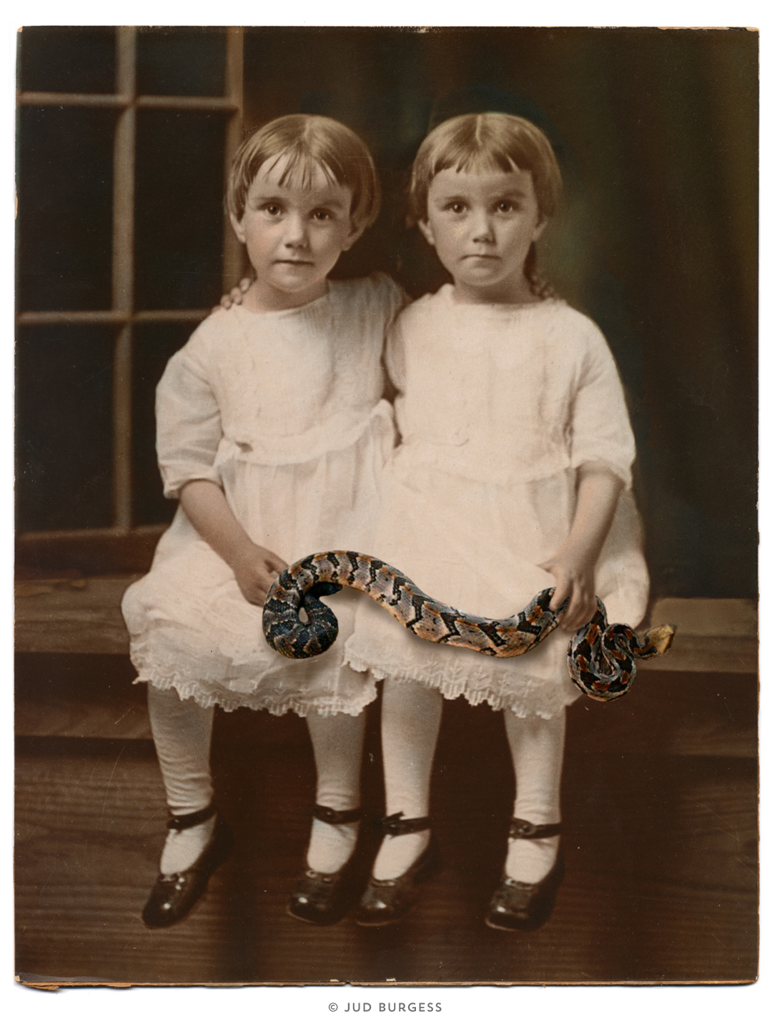  The Ties That Bind. &nbsp;© Jud Burgess 2015