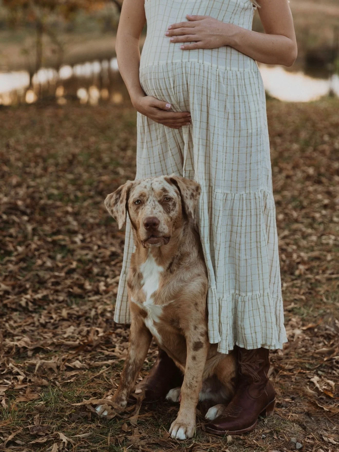 Honestly maternity in the fall is so elite🍂 Swipe for the beauty of different light in the fall.