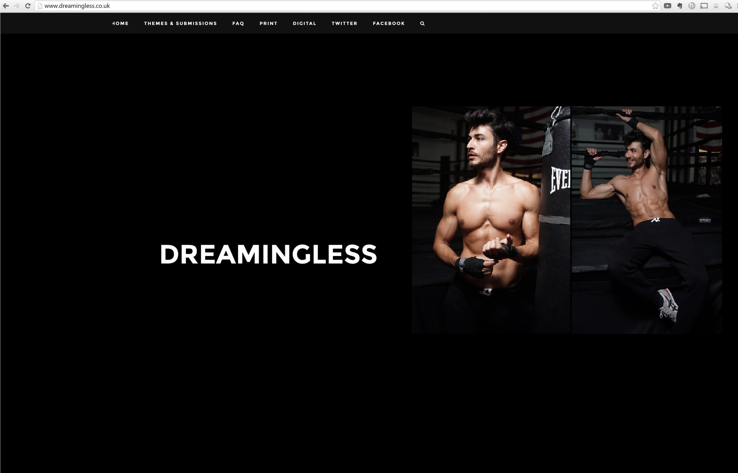 Dreamingless UK Print Website Screen Grab.JPG