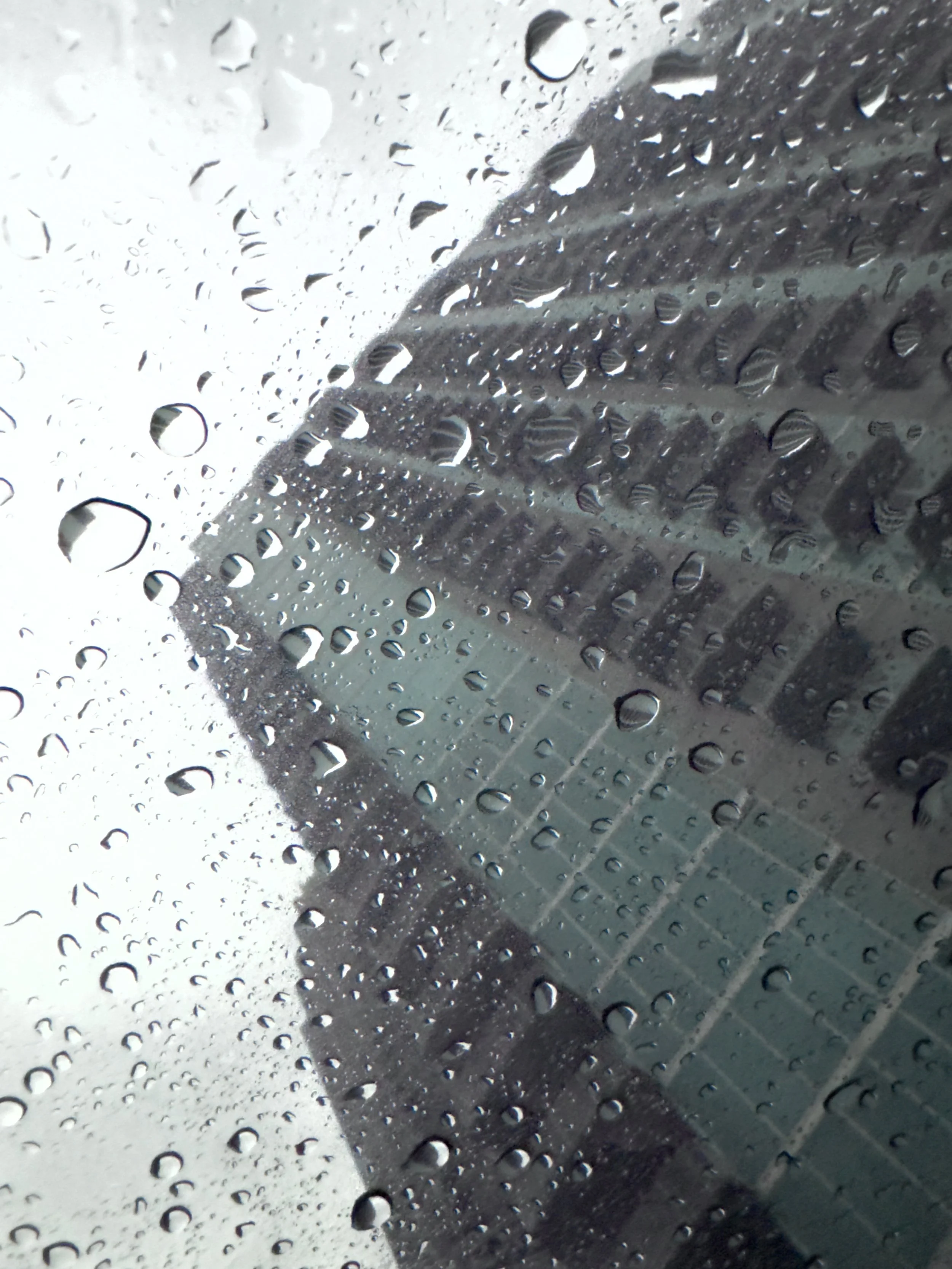 14BA6701-0900-4D8E-BB9D-FD973CAF75A4.jpeg