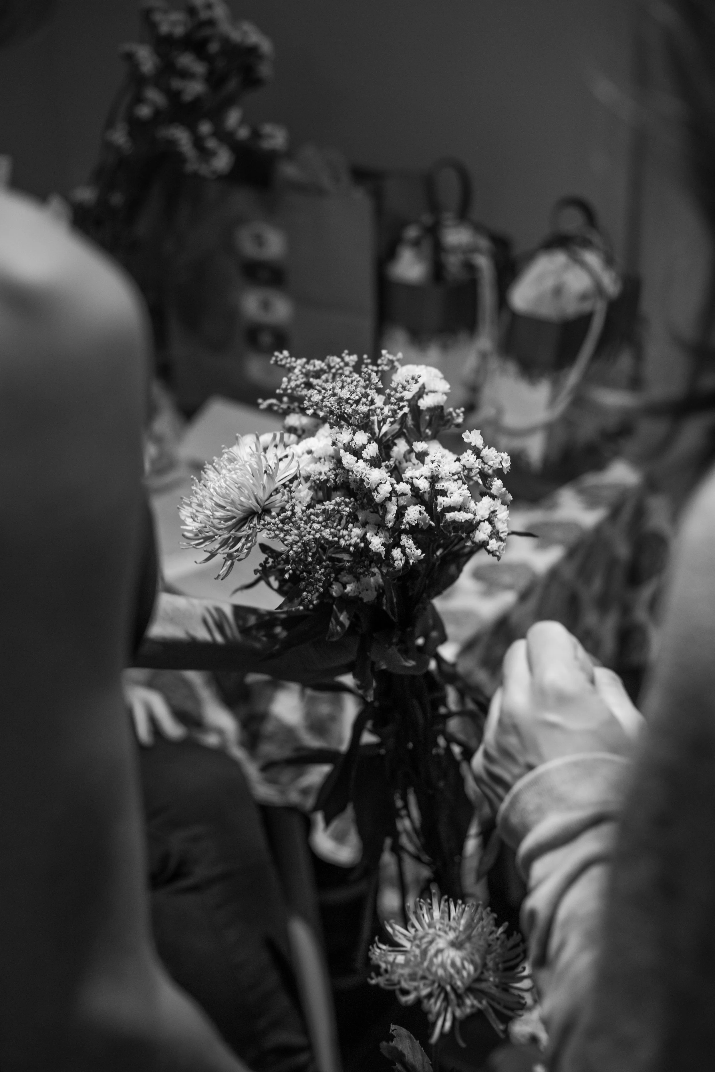 IMG_3156.jpg