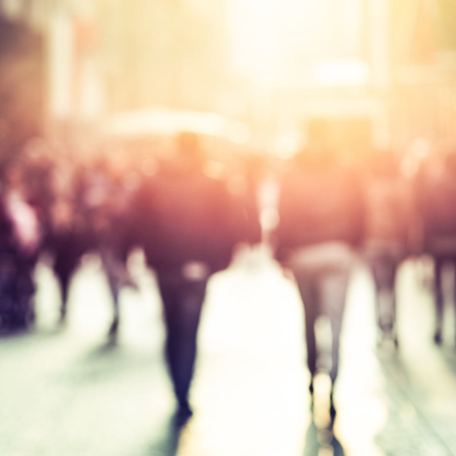 iStock-503712960-small.jpg