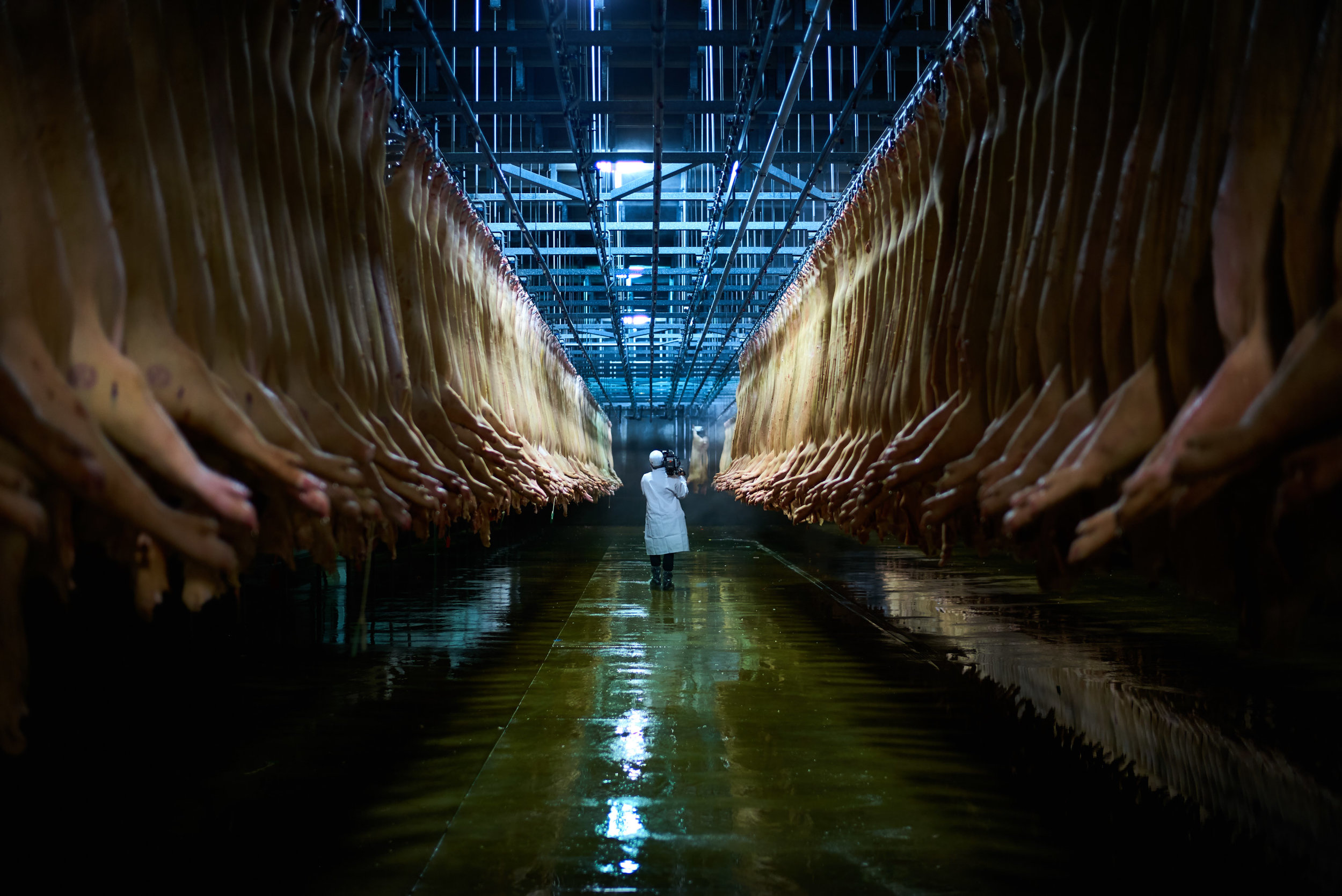 EATING-ANIMAIL_Slaughterhouse-KEY-IMAGE.jpg