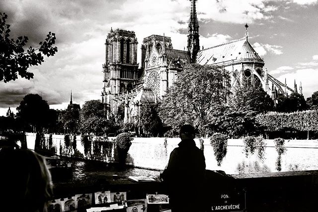 There was a time when, for some months, I walked from the Marais up to the Panthéon every day, crossing la Seine and passing by the gardens on the back side of Notre-Dame. This here is one of my favorite spots in Paris. Happy to see the cathedral rescued.