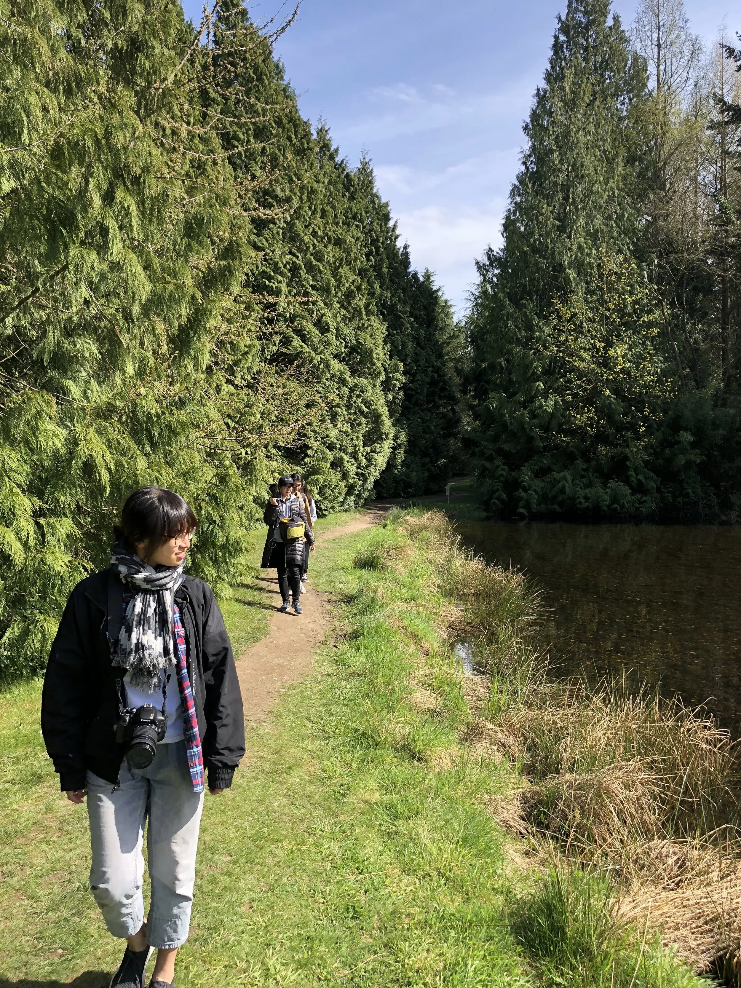 平面设计 | Graphic Design