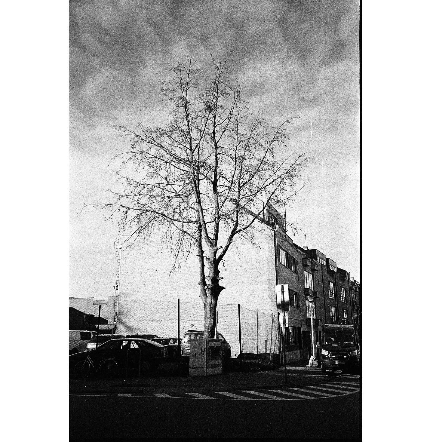 .
.
#filmphotos #analogclub #blackandwhite #analoguelove #monochrome #filmonly #analoglove #filmphotograph #analogphoto #yashica #yashicat3 #filmshooterscollective #magazine35mm #blackandwhite #35mmfilm #analogfilm #filmwave #analogfeatures #streetca