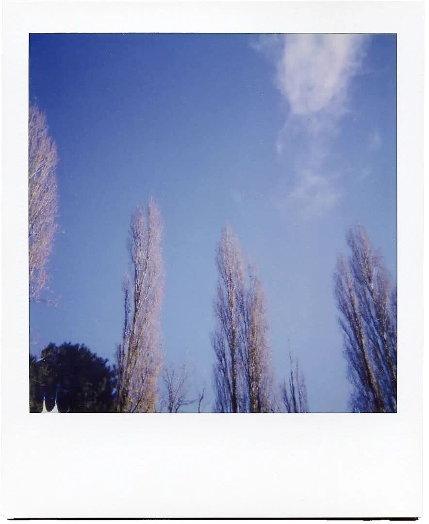 Spring sky.
.
📷 Polaroid 635 CL
🎞️ Polaroid 600 Film
.
.
.
#polaroid #polaroid635cl #600film #instantfilmmag #instantfilm #polaroidfilm #instantphotography #polaroidoriginals #instantphoto #instantanalog #instantfilmsociety #polaroidpicture #polaro