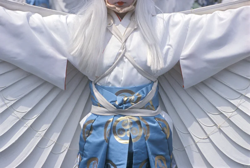 WhiteHeronDance.jpg