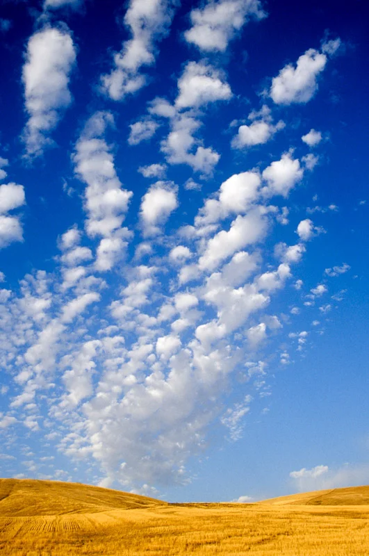 In the Sky.jpg