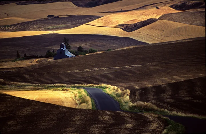 LS Palouse Road_sm.jpg