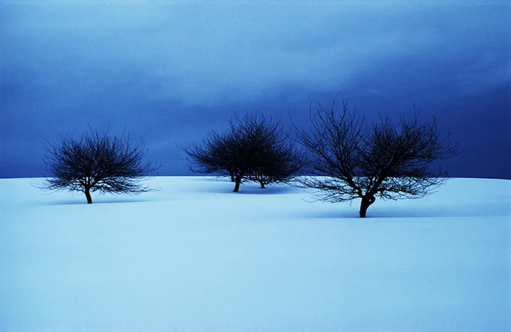 LS Idaho Snow_sm.jpg