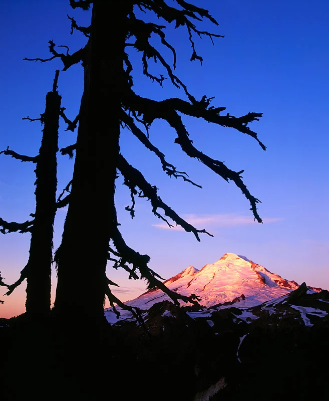 Mt Baker and Snag.jpg