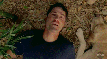 Courtesy of Lost