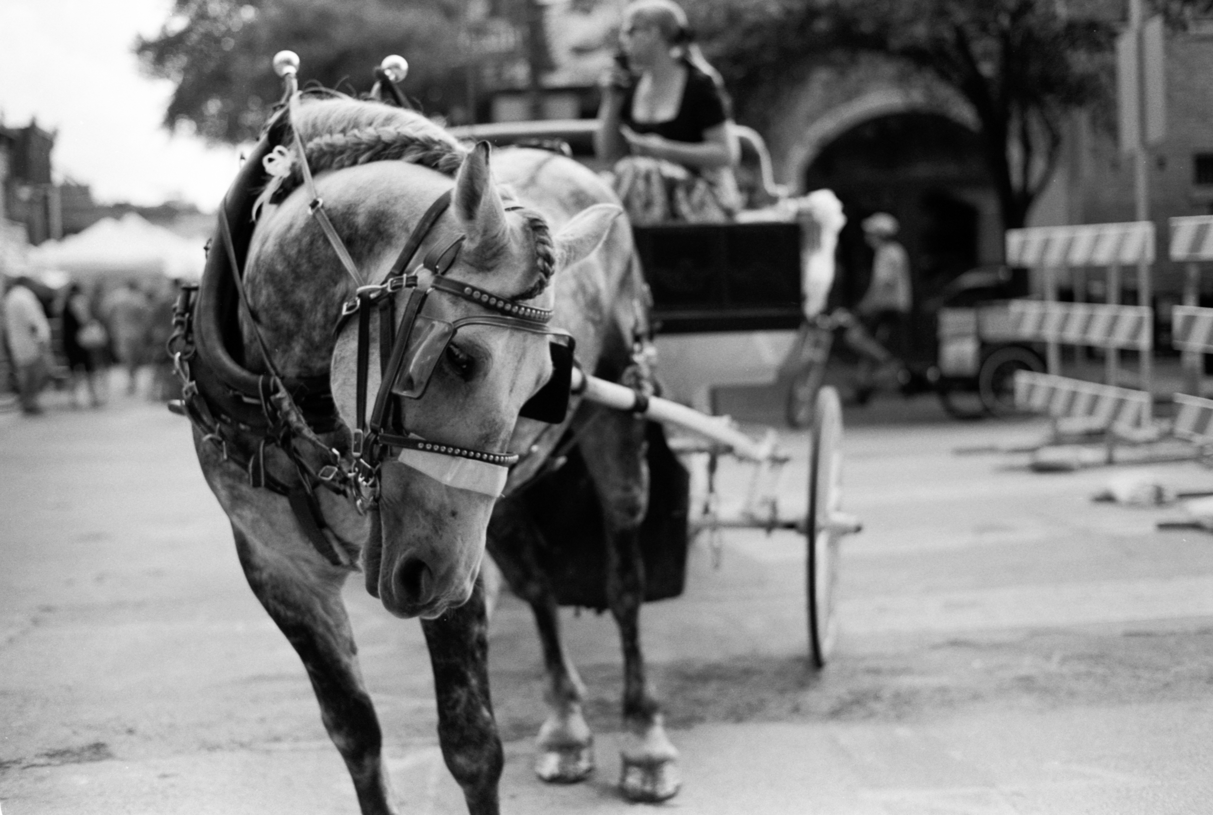 A black-and-white photo of a horse with a braided mane wearing a harness, pulling a carriage with a woman sitting inside, blurred in the background.