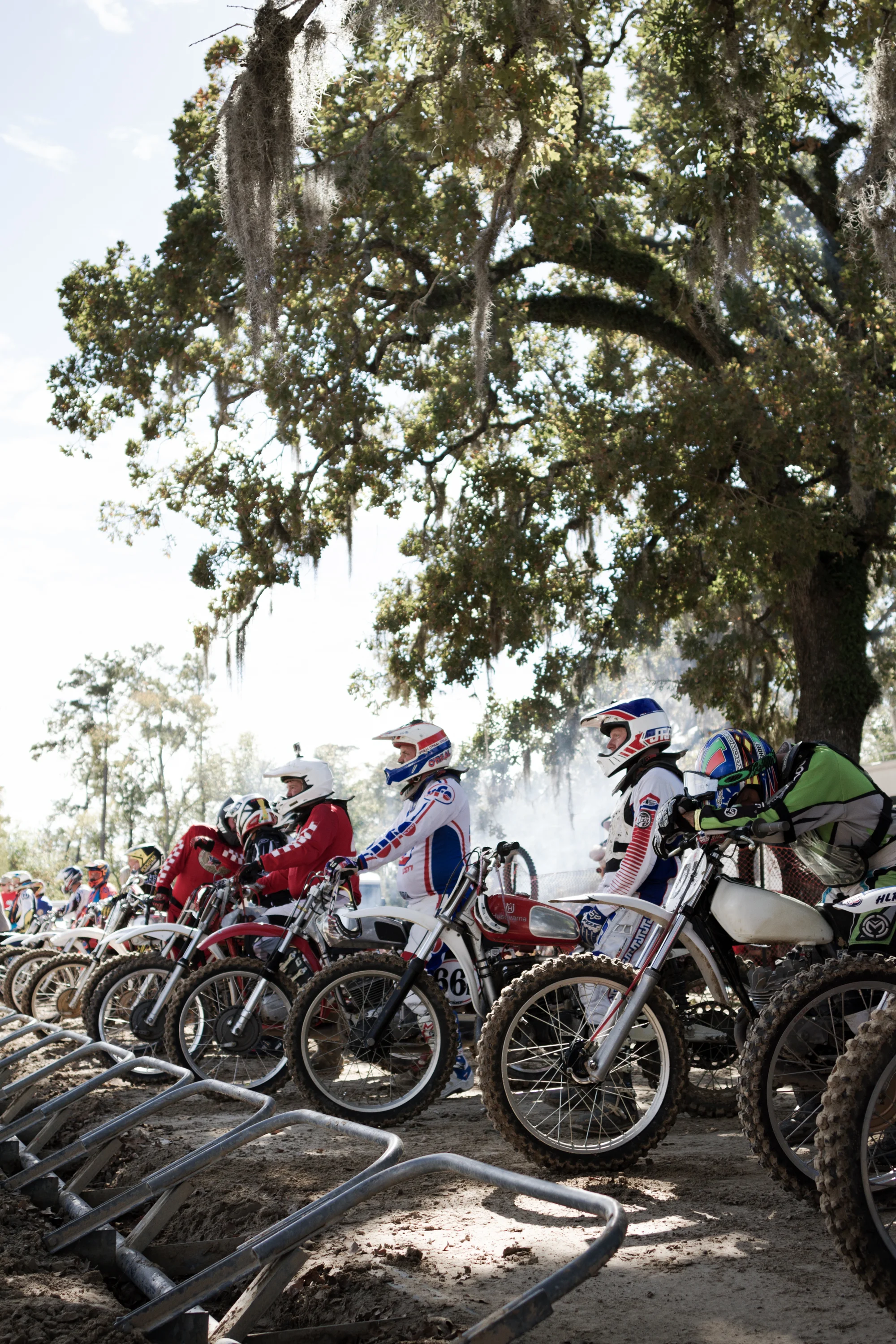 Group of dirt bike racers wearing helmets and gear, lined up under a large, moss-covered tree, ready for a race on a dirt trail.