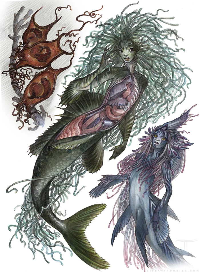 Mermaid_med.jpg