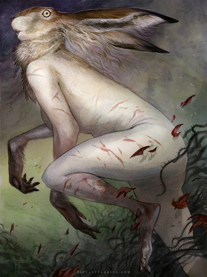 The Witch-Hare