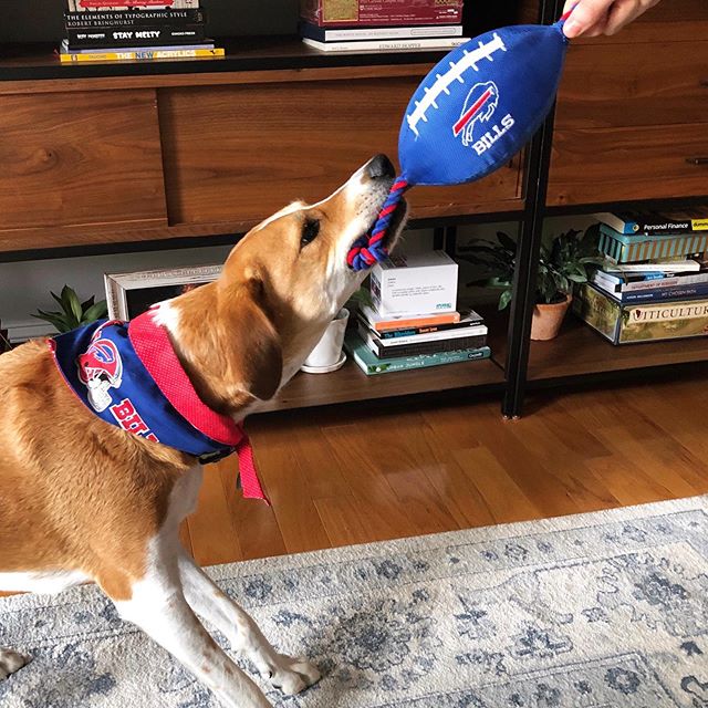 Super fan 🏈