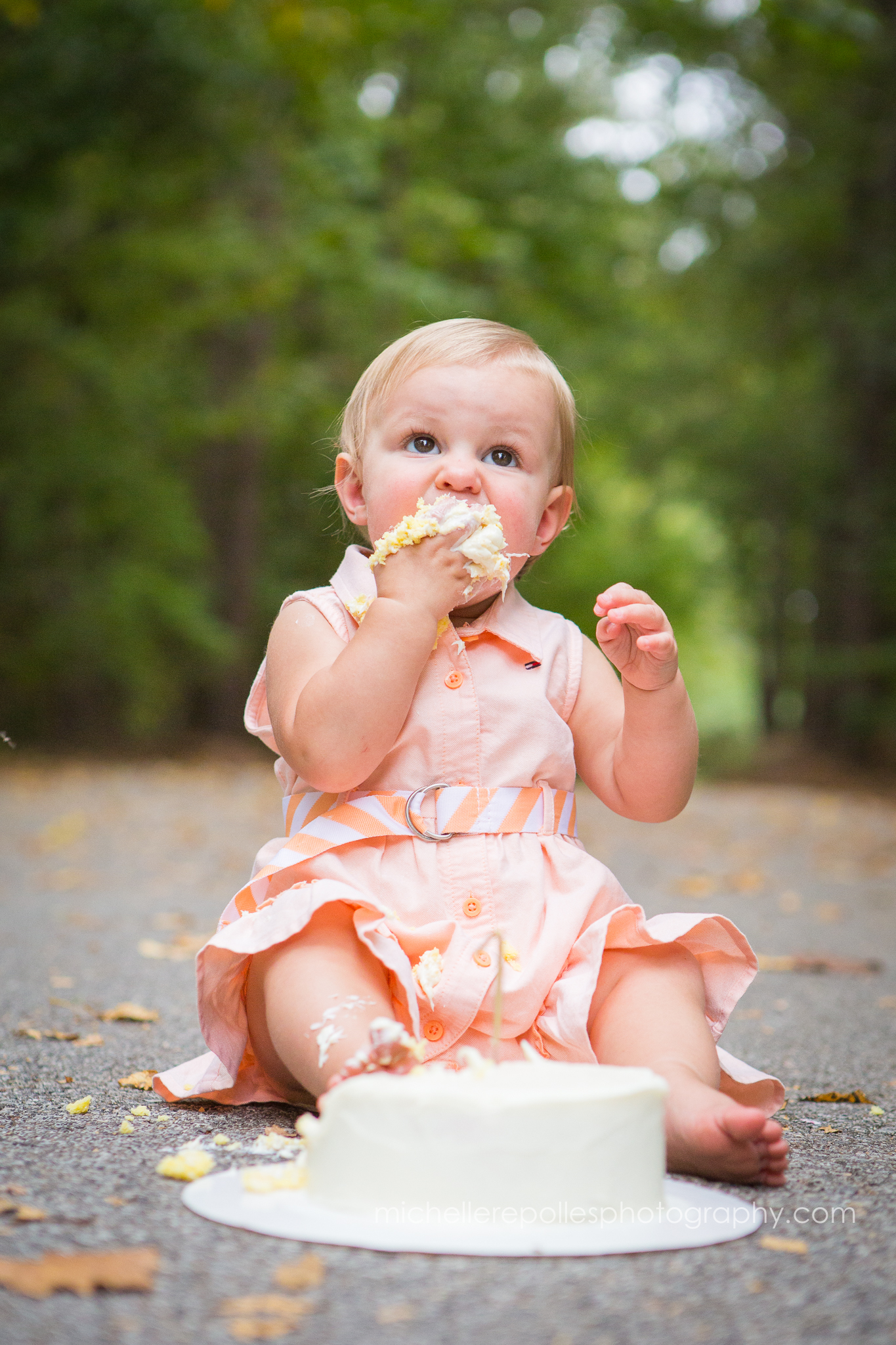  Smash Cake Session | Family Photographer | Hillsboro Walking Trail | Helena, AL