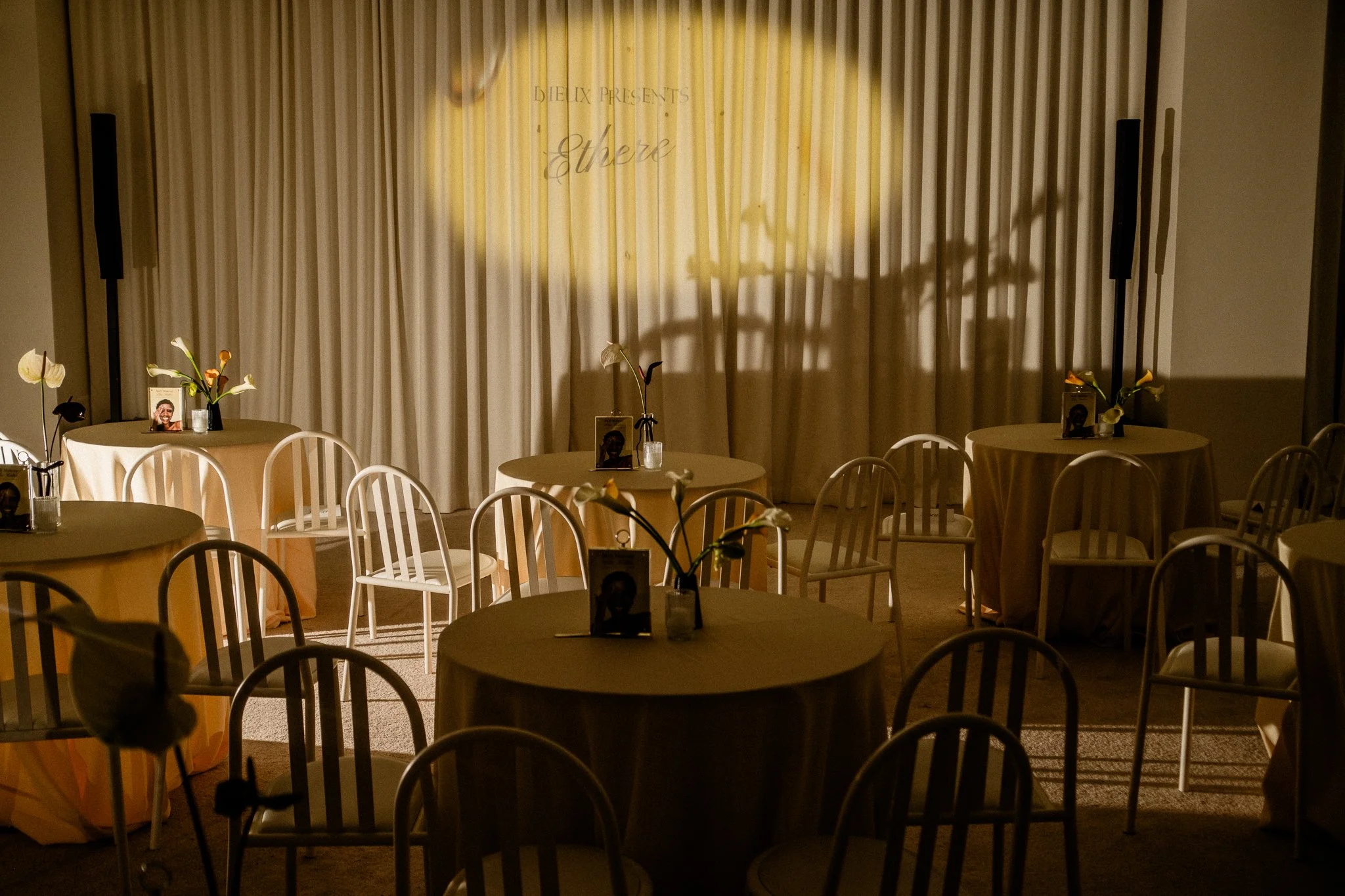 BATCH 1 OF 2_Dieux Ethereal Launch Event_11.jpg