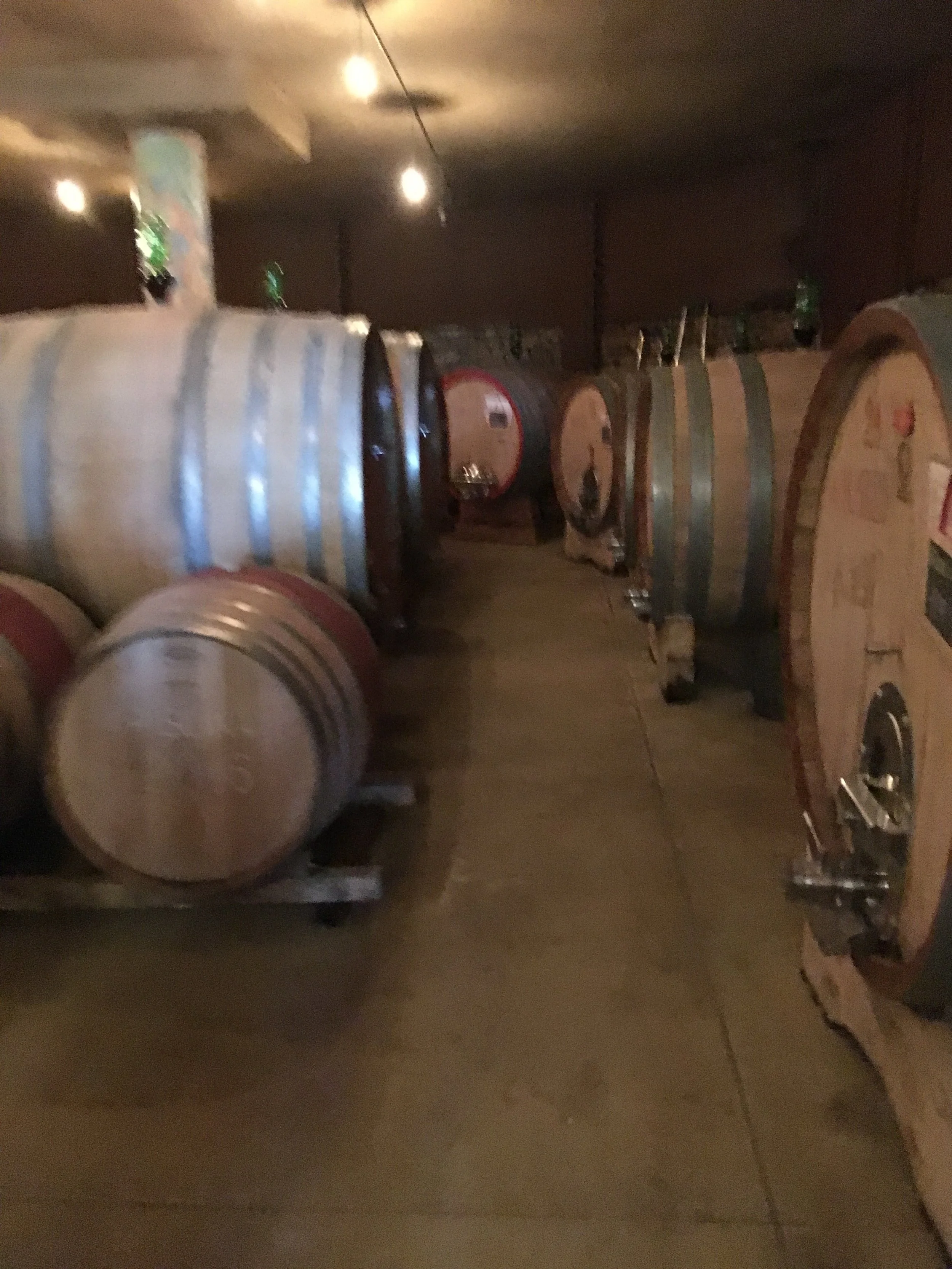 Aging room at Stella di Campalto