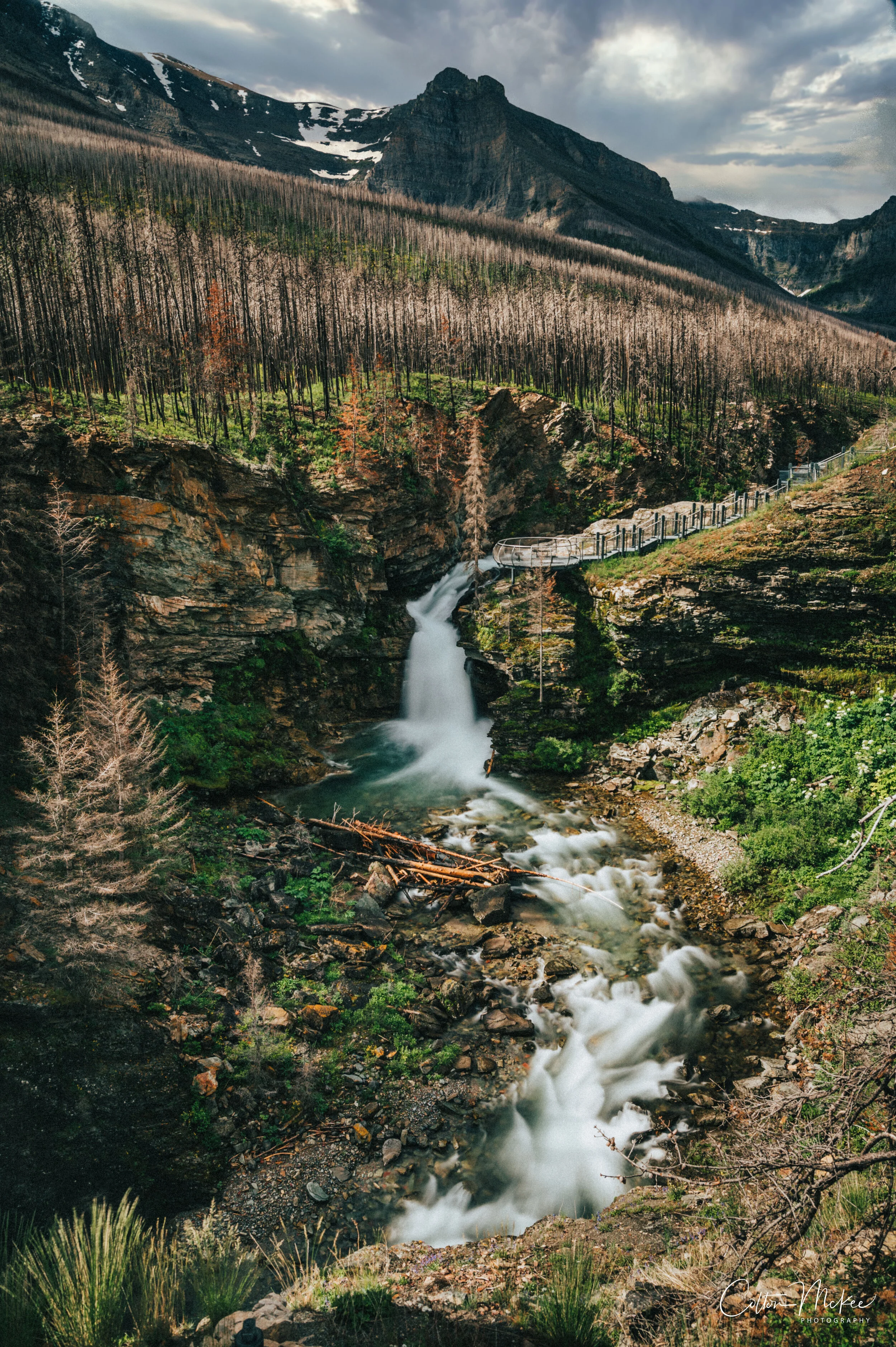 CMP_8528-Edit.jpg