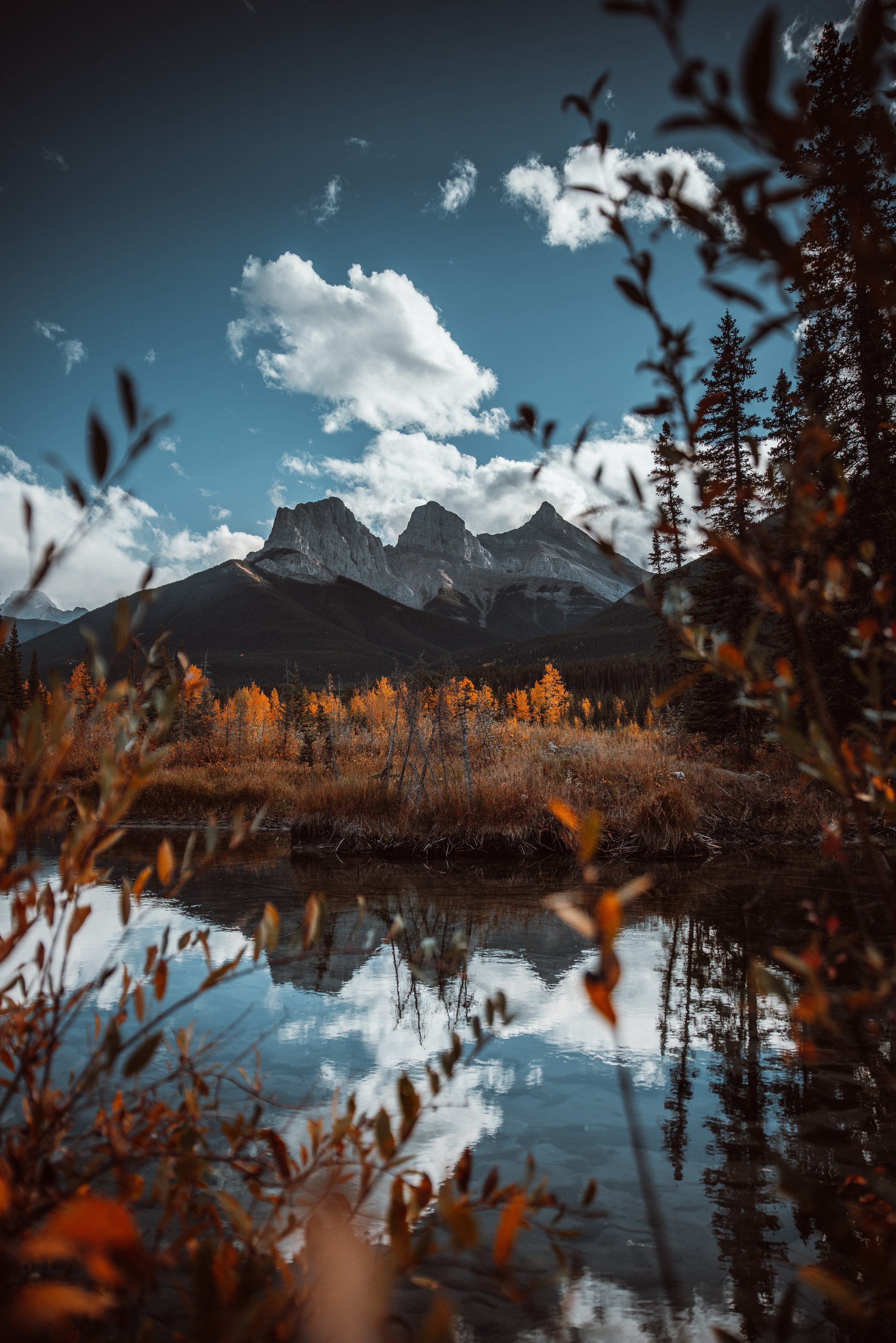 Banff Fall SM-3.jpg
