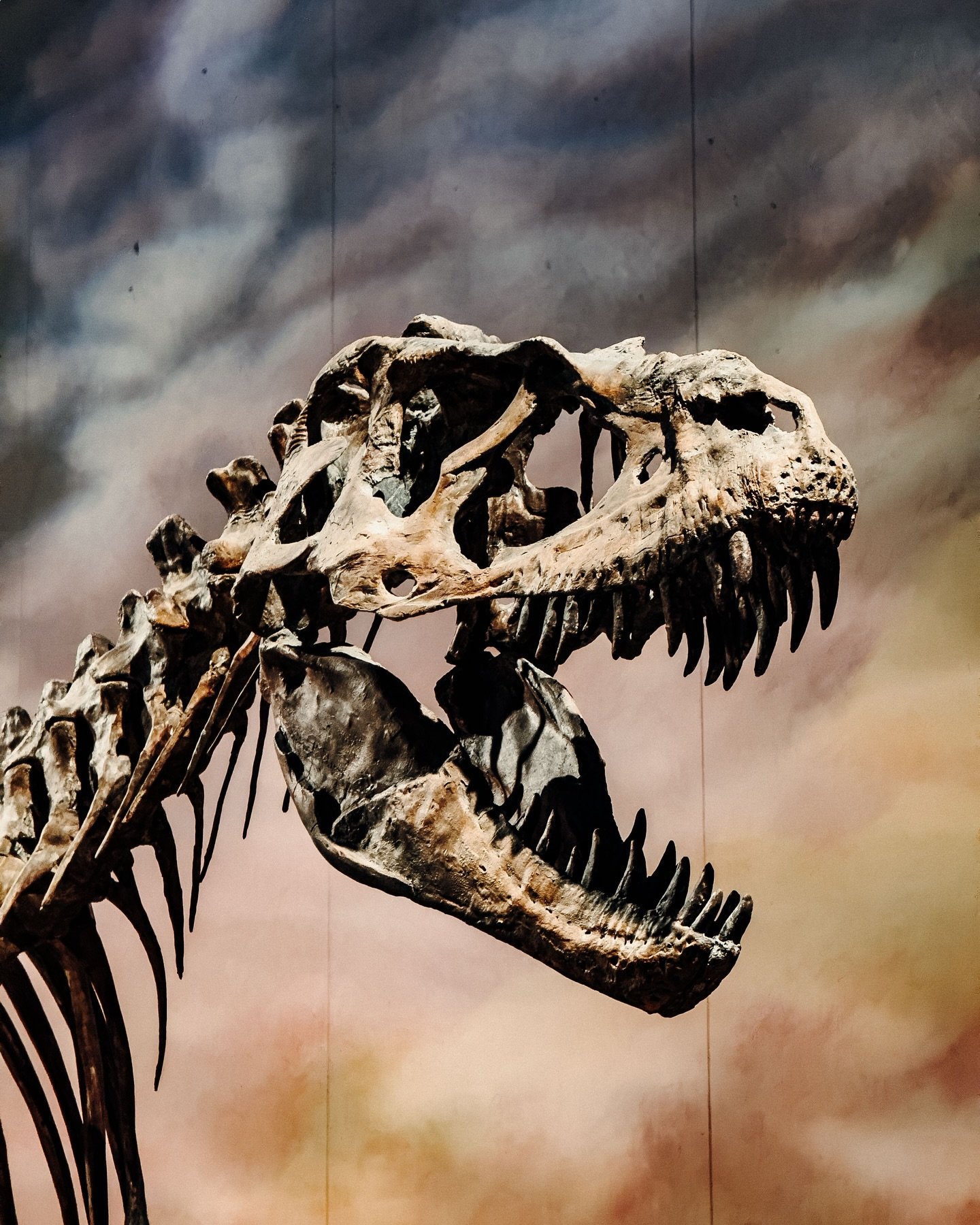 I didn&rsquo;t choose the roar life. The roar life chose me.

Had some fun exploring Drumheller and seeing any the dinosaurs fossils at the @royaltyrrell 

Will be back soon to see even more of @traveldrumheller