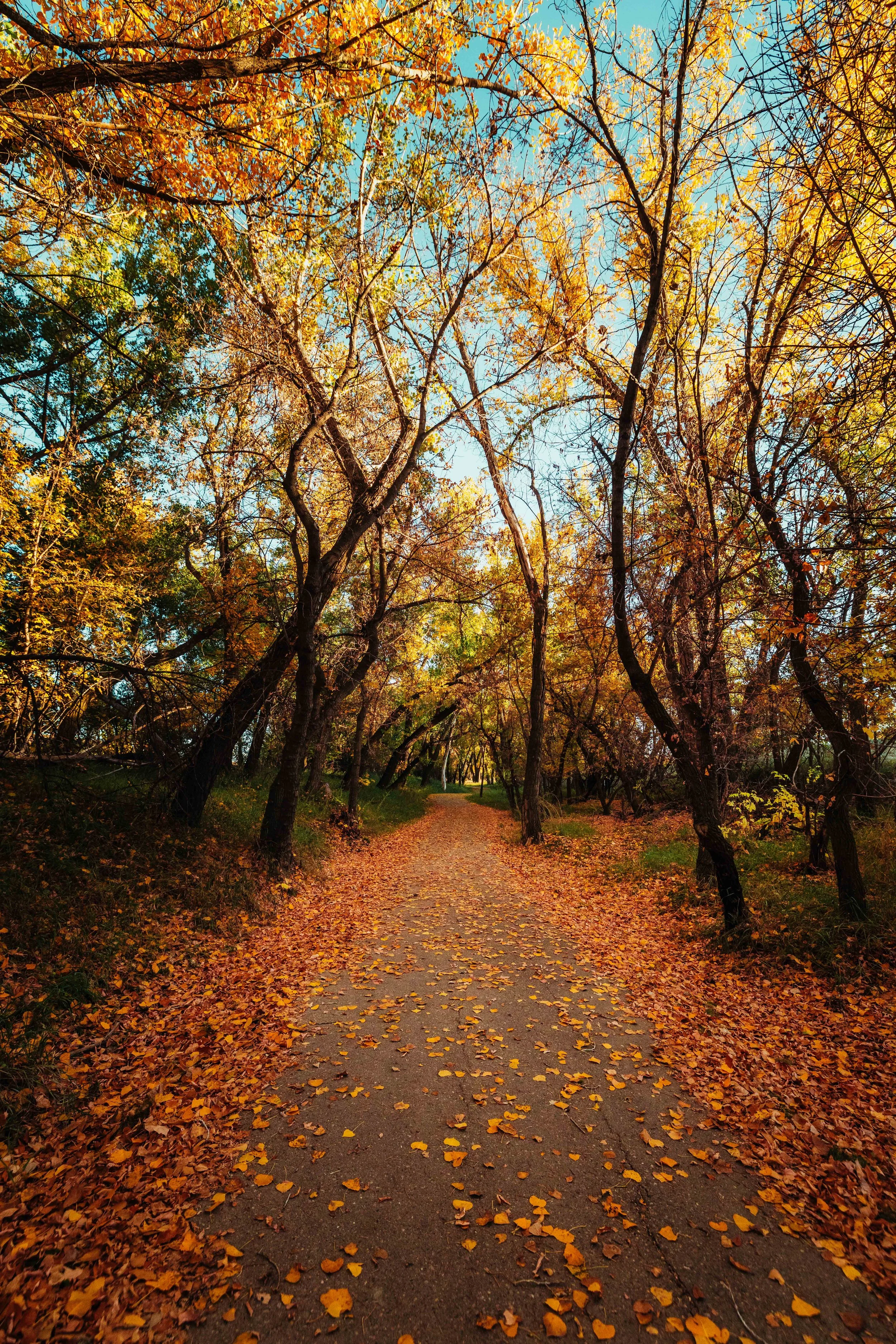 October 13th Finals-44.jpg