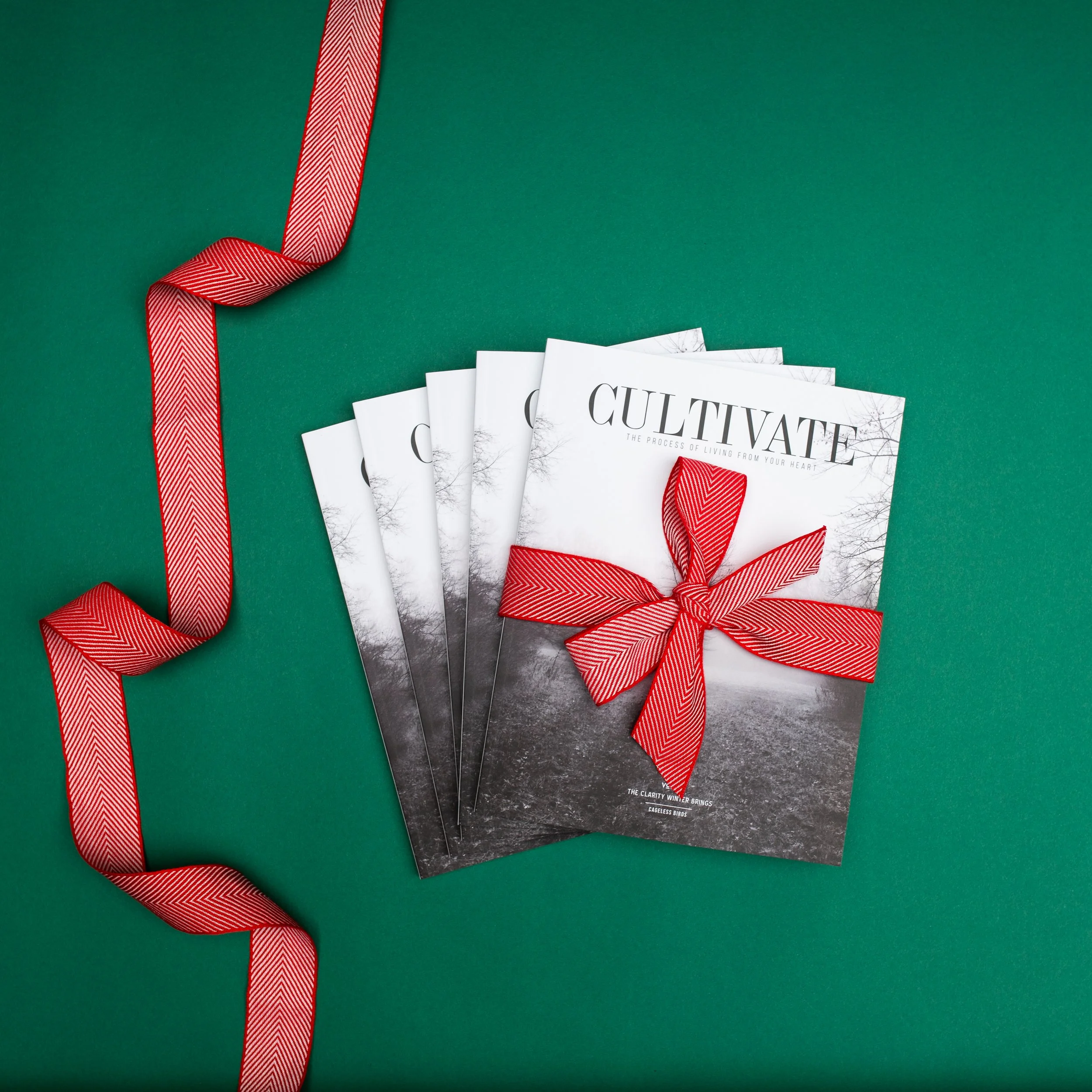 2019_Christmas-Cultivate_vol.2.jpg