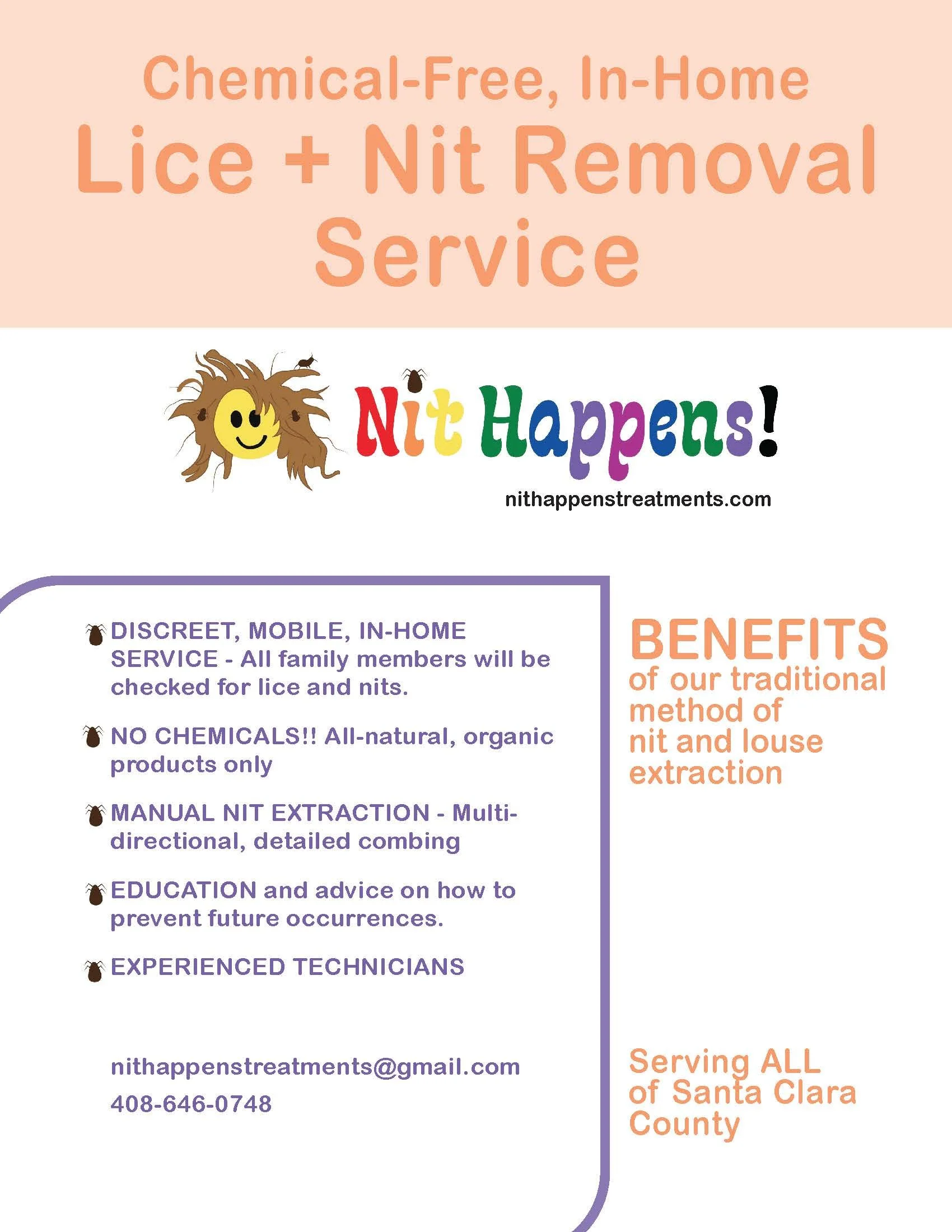 Business flyer for distribution to potential clients