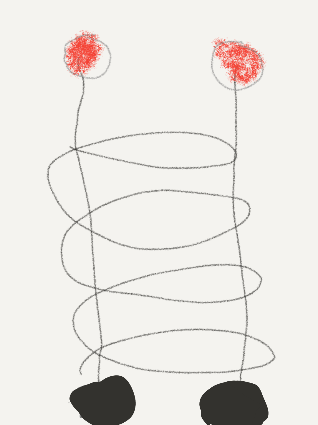 Birdcage