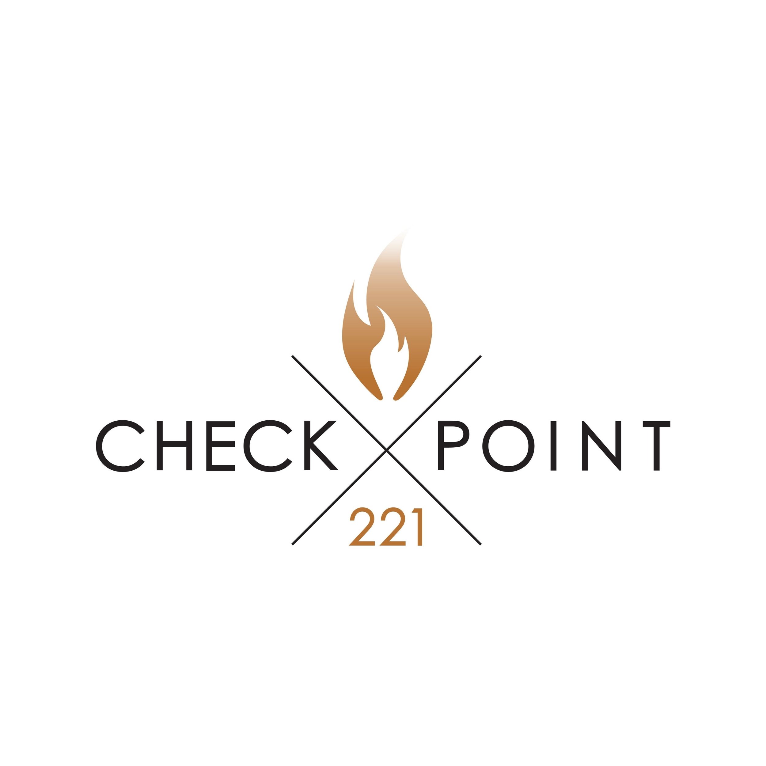 checkpoint 221.jpg
