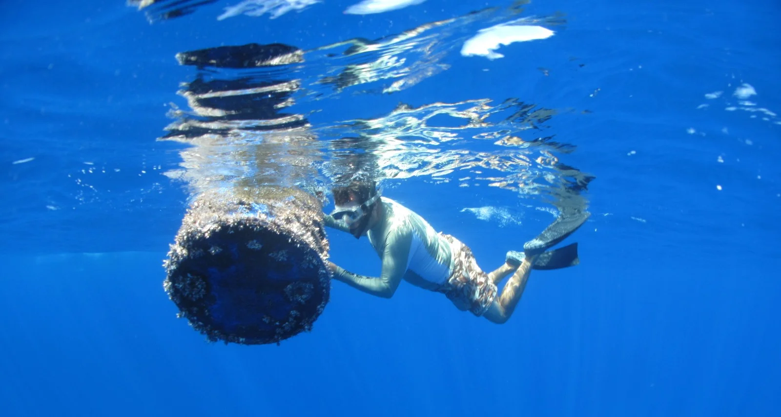 Garbage Patch 20, Hoshaw_Lindsey - cropped.jpg