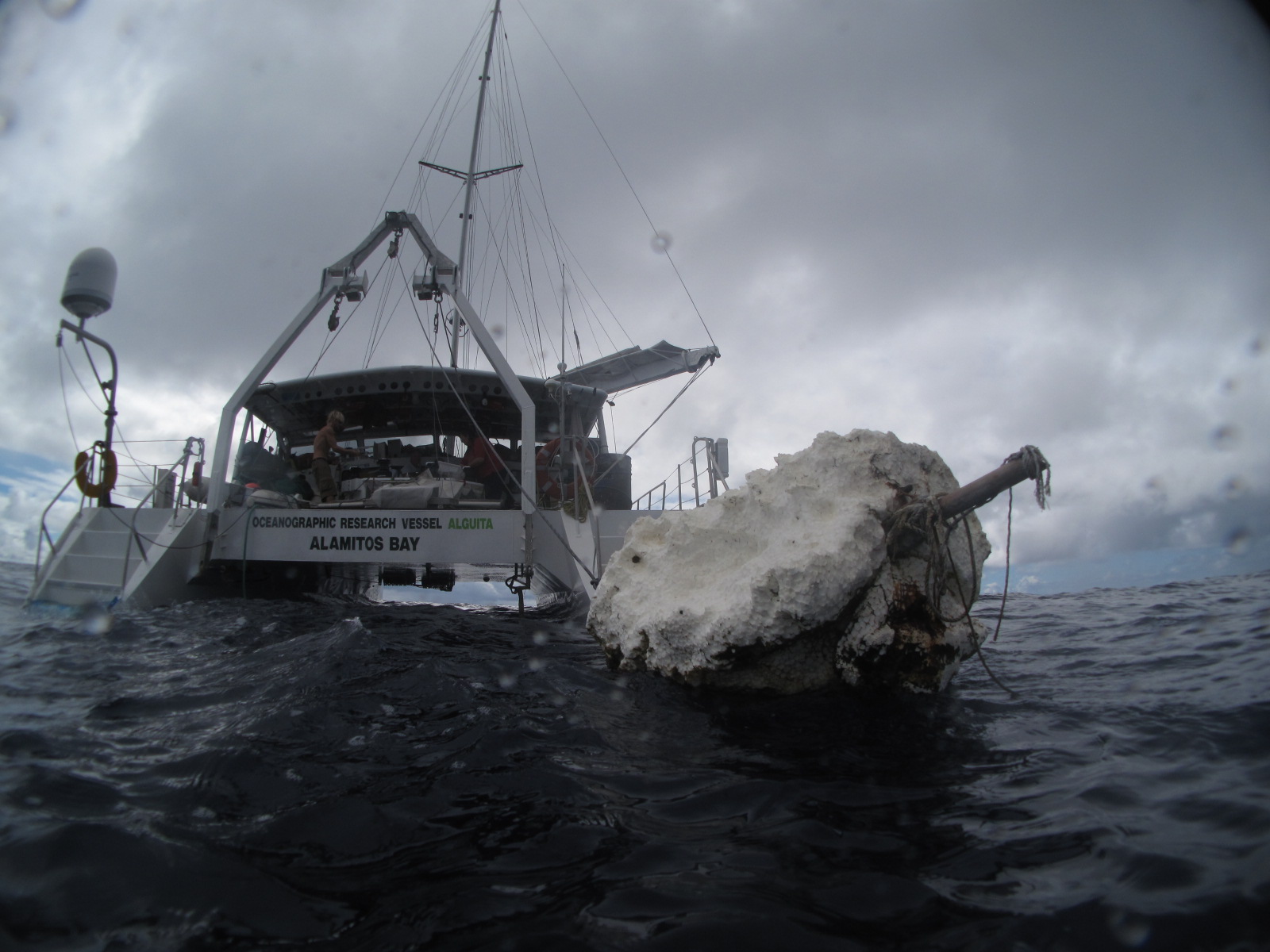 2009_north_pacific_gyre_sea_debris_alguita_hoshaw.JPG