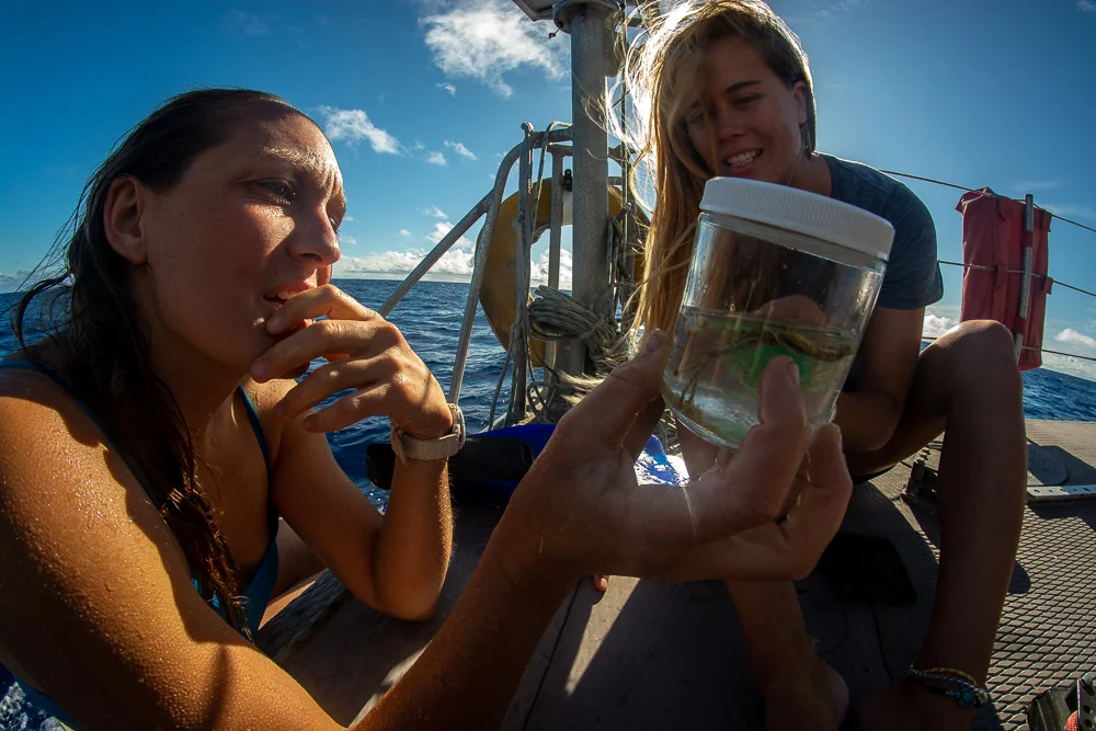 swim team heather and raquelle with sample collected under the Alguita a few hours before.