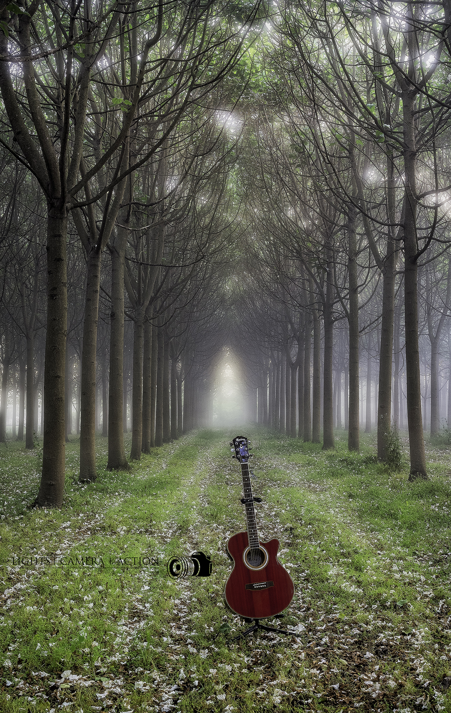 Strings