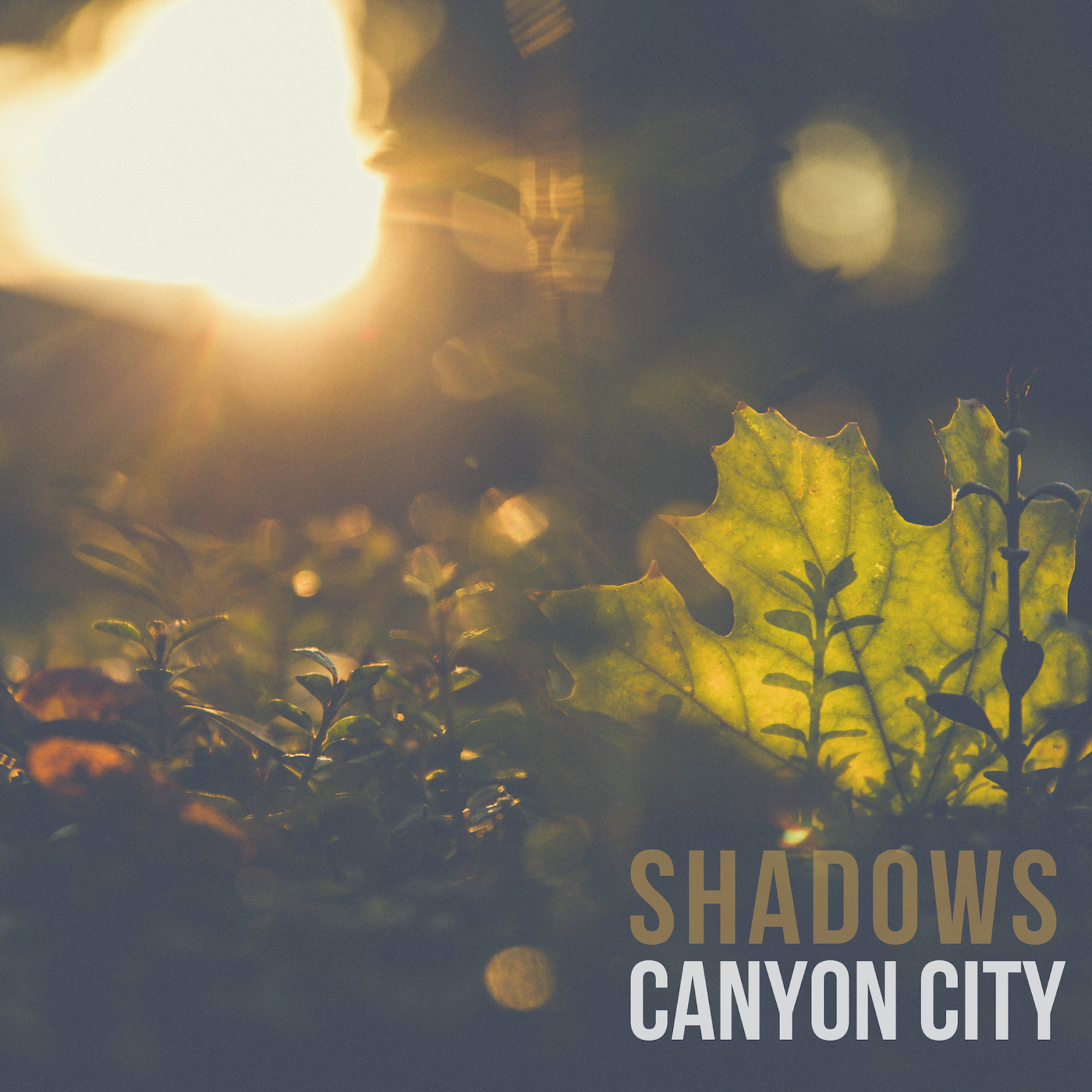 Shadows.png