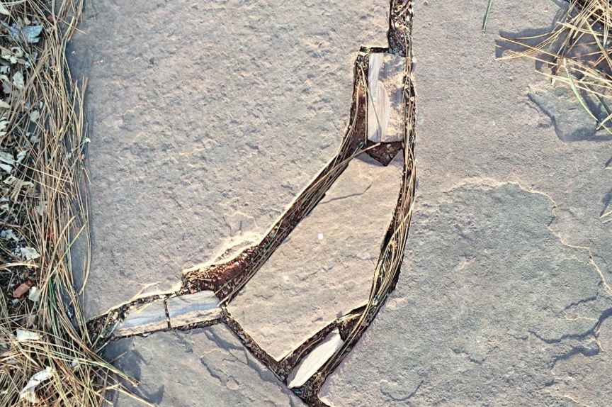 Deep crack in weathered concrete surrounded by dried grass, creating organic patterns resembling a pathway, representing natural erosion, time's passage, and finding beauty in decay through mindful observation of everyday details.