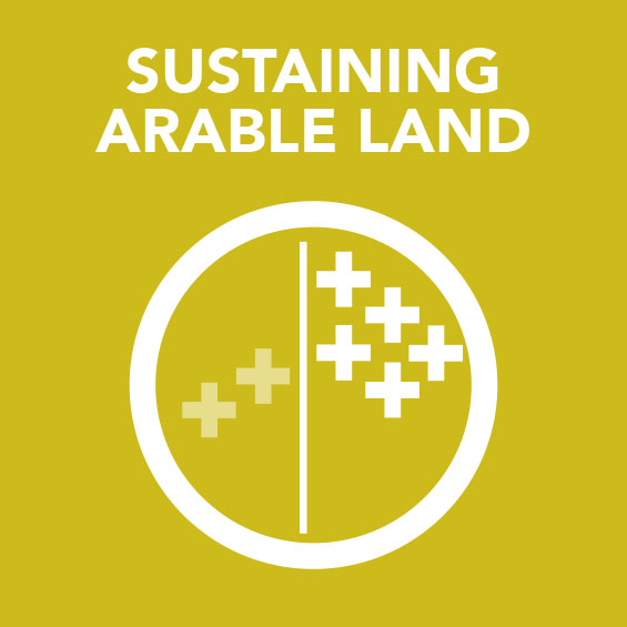 Sq_Sustaining_Arable_land.jpg